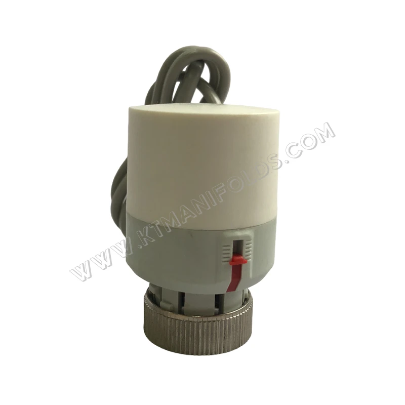 product-800-800